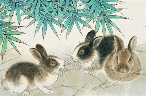 兔子 寓意 東京 龍脈